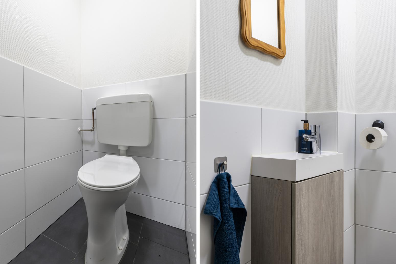 Kamgras 149 in Leeuwarden